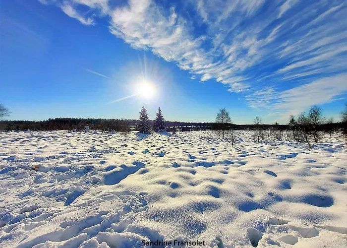 Terrasses De 141 Chalet *